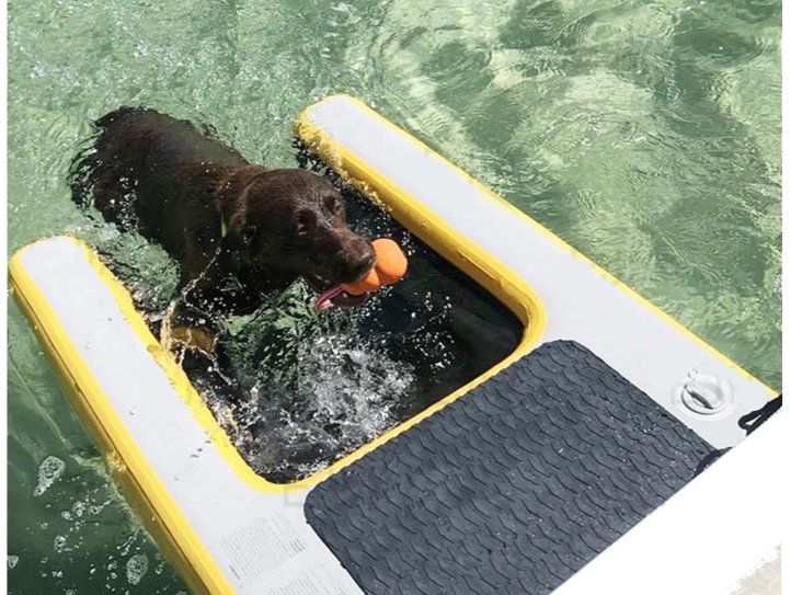 Rampa rescate salvavidas de mascotas / perros para piscinas